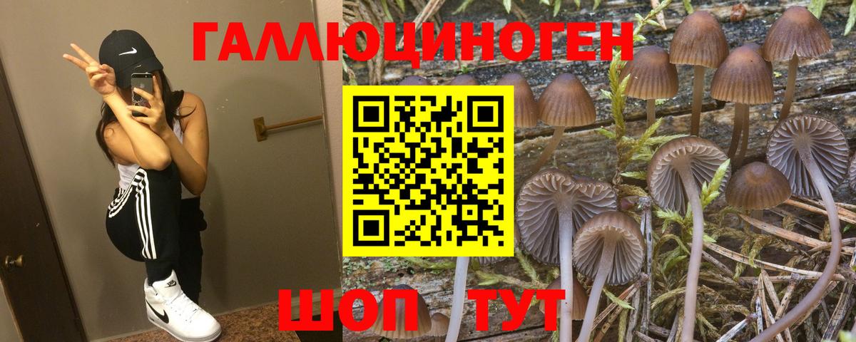 Галлюциногенные грибы мухоморы Пушкино